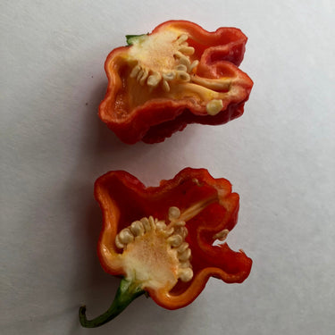 MA Wartryx - Seeds - The Pepper Pantry (Formerly Marie Sharp's)